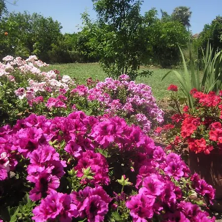 Kyra Vintage House شقة *