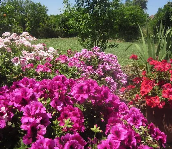 Kyra Vintage House Apartment *